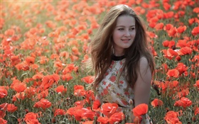 Menina no campo de flores, papoilas vermelhas, verão HD Papéis de Parede