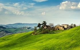 Itália, inclinação, grama, casa, árvores, nuvens