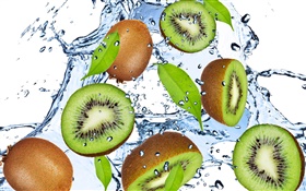 Kiwi, frutas, gotas da água HD Papéis de Parede