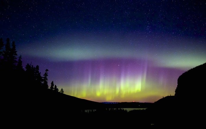 aurora boreal, silhuetas, bela noite Papéis de Parede, imagem