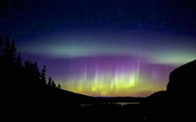 aurora boreal, silhuetas, bela noite