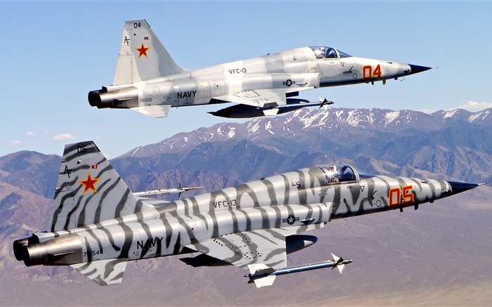 Northrop F-5 combatente da liberdade, Tiger II Papéis de Parede, imagem