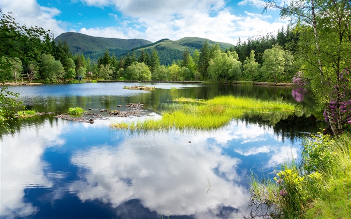 Escócia, Grã-Bretanha, hortaliças, árvores, montanhas, lago, reflexão da água Papéis de Parede, imagem