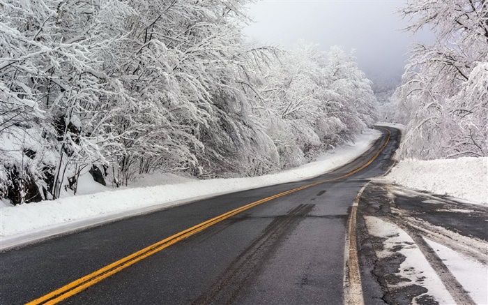 Inverno, neve, estrada, árvores, branco Papéis de Parede, imagem