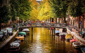 Amsterdam, Holanda, ponte, rio, barcos, casas, árvores, outono