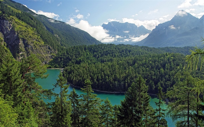 Austria, Tyrol, montanhas, florestas, árvores, rio Papéis de Parede, imagem
