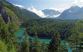 Austria, Tyrol, montanhas, florestas, árvores, rio