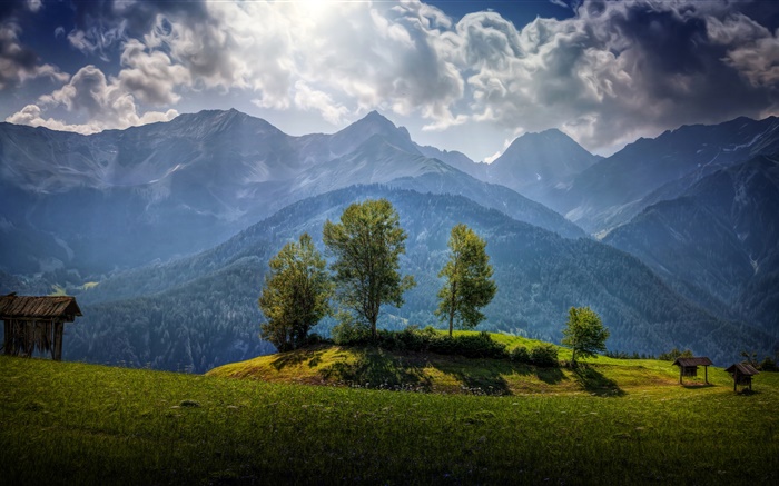 Áustria, montanhas, árvores, nuvens, grama Papéis de Parede, imagem