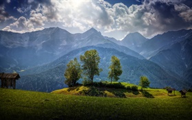 Áustria, montanhas, árvores, nuvens, grama