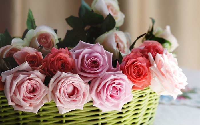 Cesta, rosas, rosa, branco, flores vermelhas Papéis de Parede, imagem