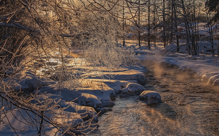 frio de inverno, árvores, rio, neve espessa Papéis de Parede, imagem