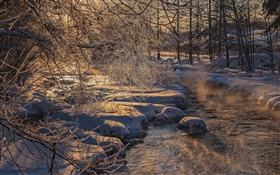 frio de inverno, árvores, rio, neve espessa HD Papéis de Parede