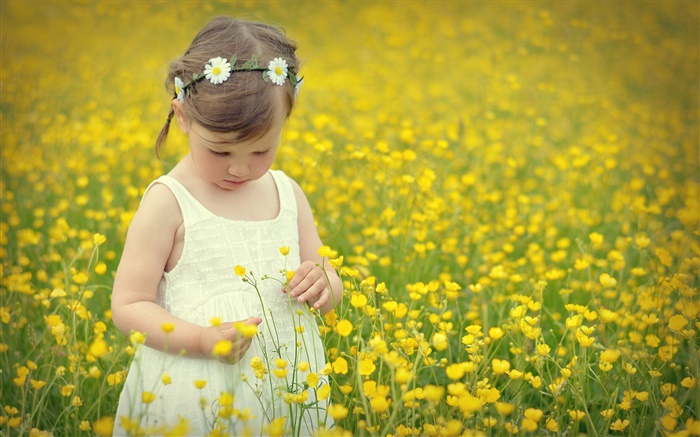 Criança bonito menina, campo de flor de canola Papéis de Parede, imagem