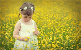 Criança bonito menina, campo de flor de canola HD Papéis de Parede