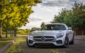 Mercedes-AMG GT S Sports Opinião dianteira do carro, árvores