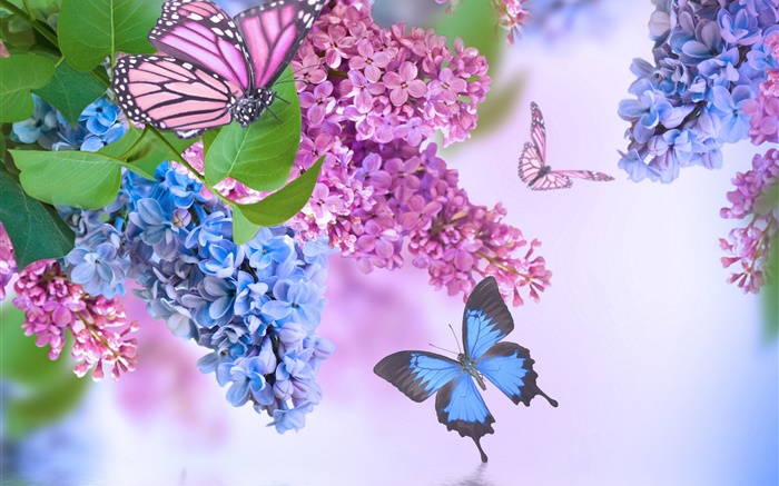 flores roxas, lilás, borboleta Papéis de Parede, imagem