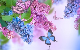 flores roxas, lilás, borboleta HD Papéis de Parede
