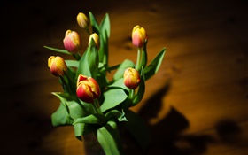 pétalas amarelas vermelho, flores, tulipas HD Papéis de Parede