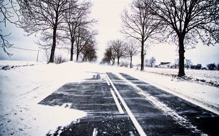 Neve, inverno, estrada, árvores, linhas de energia, casa Papéis de Parede, imagem