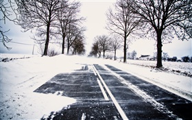 Neve, inverno, estrada, árvores, linhas de energia, casa