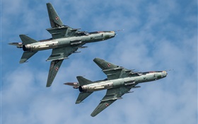 Su-22 do lutador, bombardeiro, vôo, céu