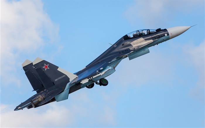 lutador polivalente Su-30CM Papéis de Parede, imagem