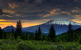 EUA, Califórnia, montanhas, árvores, nuvens, crepúsculo HD Papéis de Parede