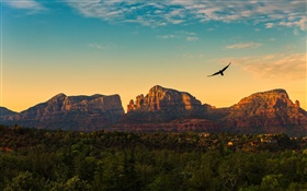 Estados Unidos, Arizona, montanhas, pôr do sol, pássaros voando, vila, crepúsculo