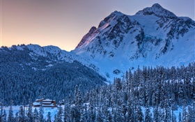 Inverno, neve, montanha, árvores, crepúsculo HD Papéis de Parede