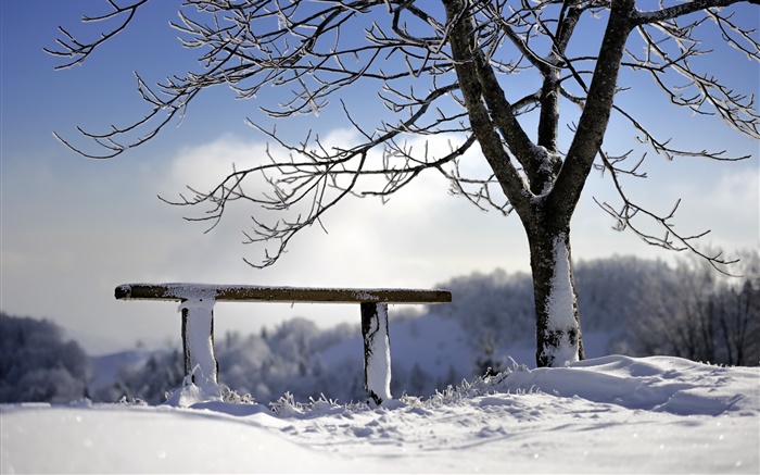 Inverno, neve, árvore, banco Papéis de Parede, imagem