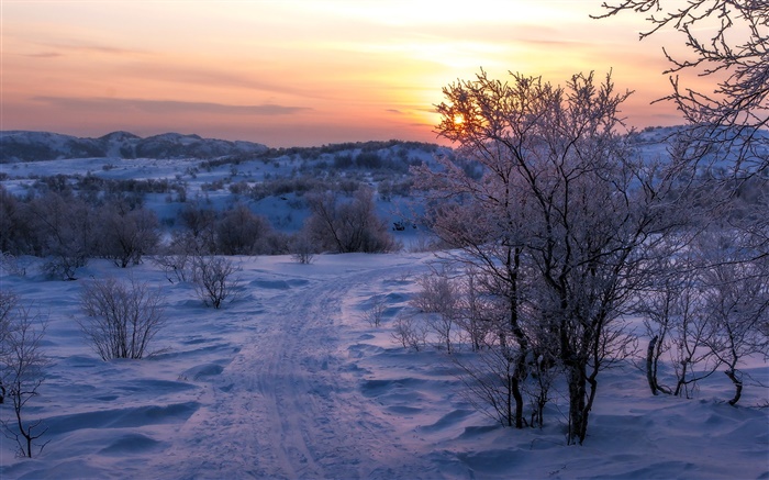Inverno, neve, árvores, pôr do sol, estrada Papéis de Parede, imagem