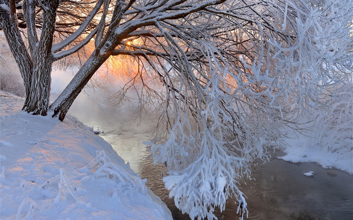 Inverno, neve espessa, árvore, galhos, rio, pôr do sol Papéis de Parede, imagem