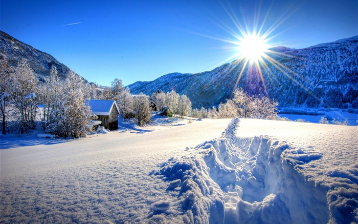 Inverno, neve espessa, árvores, casa, sol Papéis de Parede, imagem