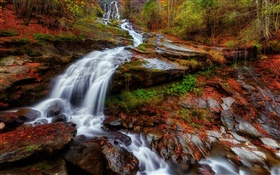 Outono, floresta, rio, córrego, cachoeiras, folhas HD Papéis de Parede