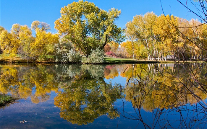 Outono, lagoa, lago, parque, árvores, reflexão da água Papéis de Parede, imagem