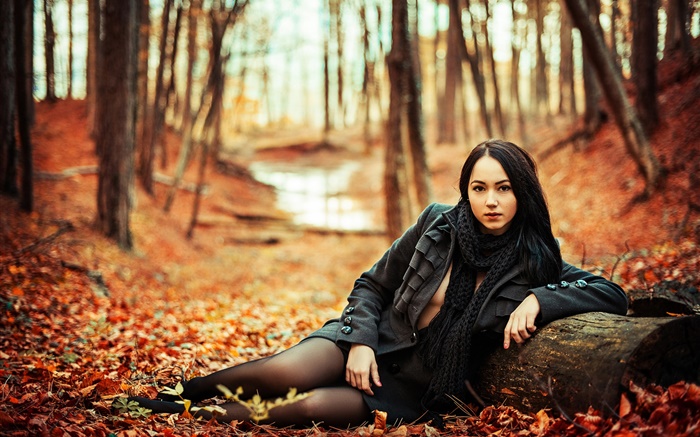 Menina do cabelo preto na floresta, outono, folhas amarelas Papéis de Parede, imagem