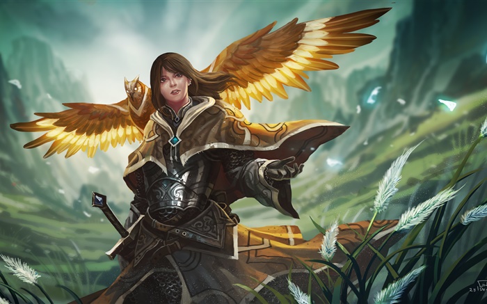 Menina da fantasia, guerreiro, armadura, asas de coruja Papéis de Parede, imagem