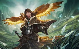 Menina da fantasia, guerreiro, armadura, asas de coruja HD Papéis de Parede