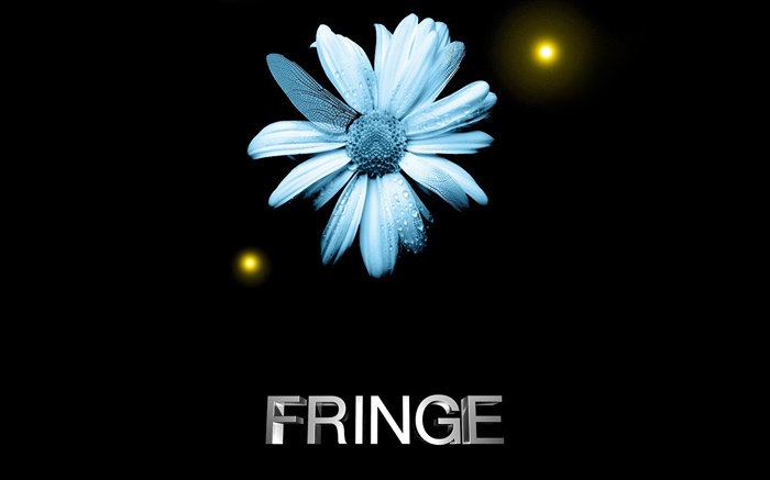 Fringe, flor, gotas de água, asa libélula, criativa Papéis de Parede, imagem