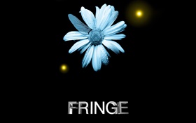 Fringe, flor, gotas de água, asa libélula, criativa HD Papéis de Parede