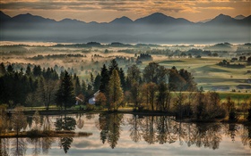 Alemanha, Bayern, outono, árvores, lago, casas, névoa, manhã