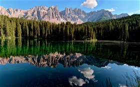 Lago, reflexão da água, montanhas, floresta