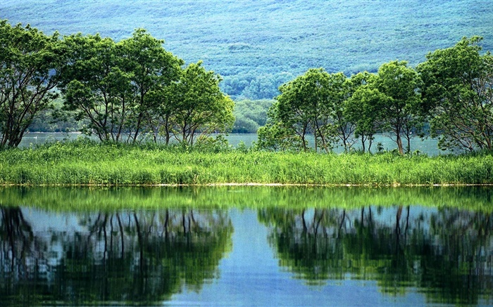 Natureza paisagem, árvores, verde, rio, reflexão da água Papéis de Parede, imagem