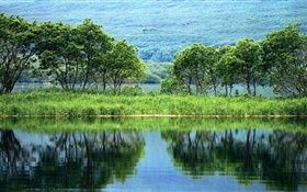 Natureza paisagem, árvores, verde, rio, reflexão da água