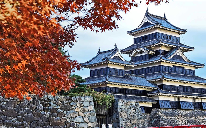 Pagoda, Japão, outono, árvores Papéis de Parede, imagem