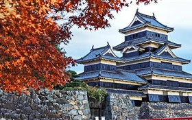 Pagoda, Japão, outono, árvores HD Papéis de Parede