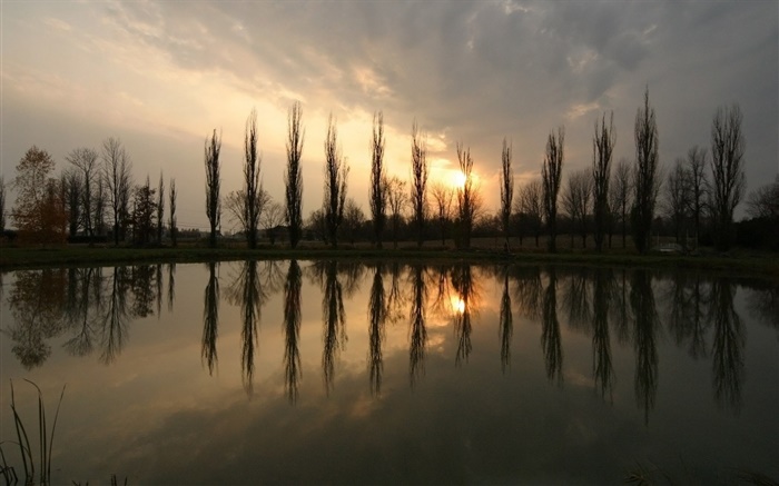 Pond, pôr do sol, árvores Papéis de Parede, imagem