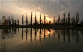 Pond, pôr do sol, árvores HD Papéis de Parede