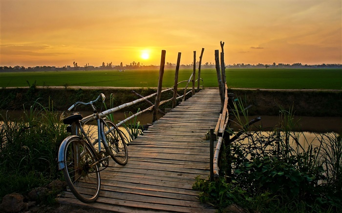 Pôr do sol, bicicleta, ponte, grama, campo, rio Papéis de Parede, imagem