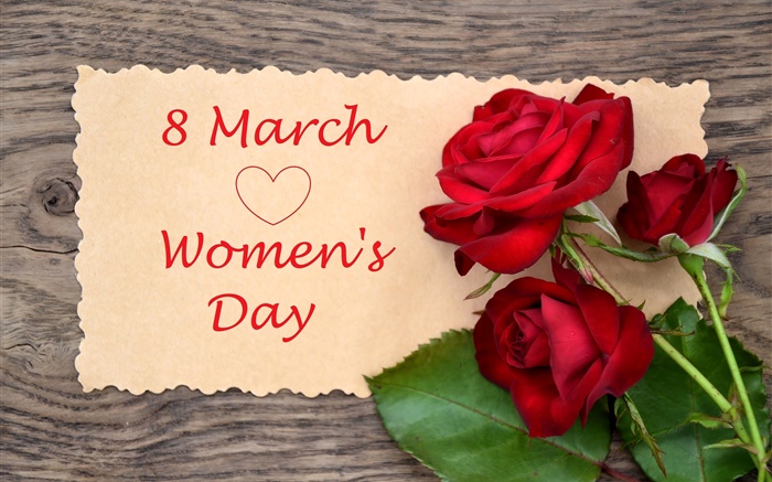 08 de março, Dia da Mulher, flores vermelhas levantou-se Papéis de Parede, imagem